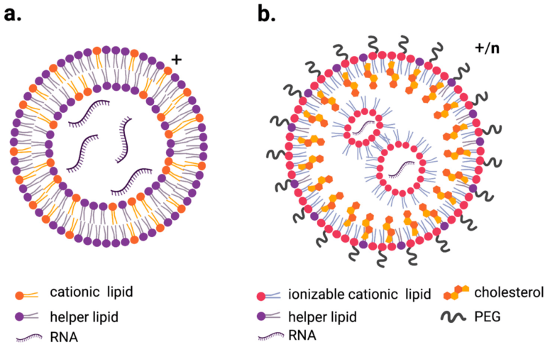 Lipid Nanoparticles for mRNA Delivery