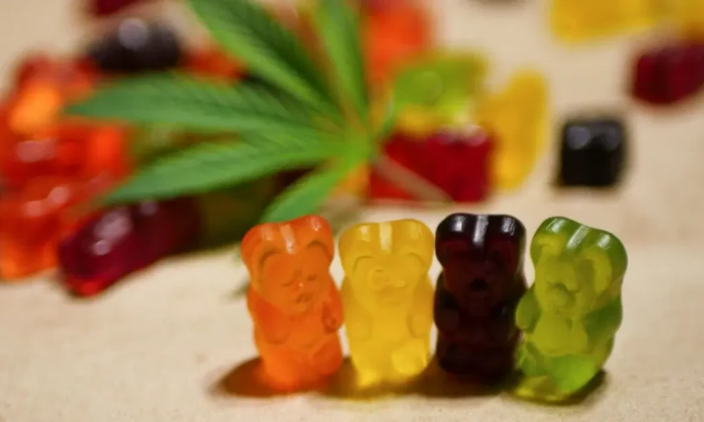 magic mushroom gummies