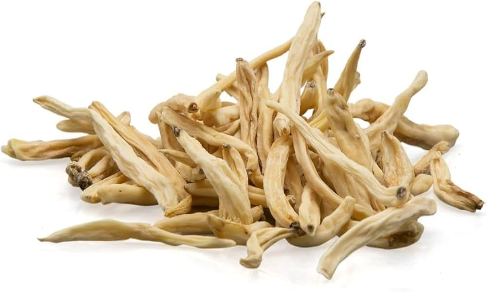 Safed Musli Dosage and Usage: A Practical Guide to Getting the Most From This Ayurvedic Herb